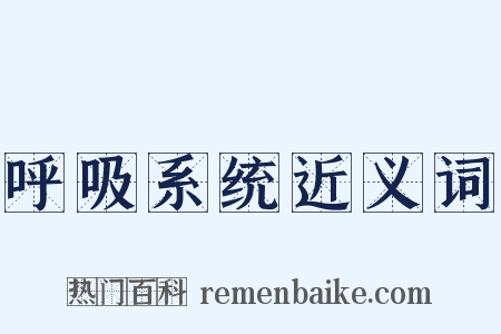 呼吸系统近义词是什么意思的图片